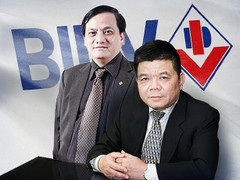 Dự án nuôi bò nghìn tỷ 'chết yểu' của con trai ông Bắc Hà