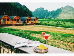 Farmstay có phải là hình thức đầu tư 'gà đẻ trứng vàng'?