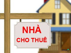 Bất động sản chuyển hướng sang nhà cho thuê