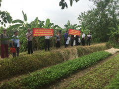 Hoãn phiên tòa xử vụ án Lừa đảo dự án Viet Inc do vắng mặt công ty Hưng Hải