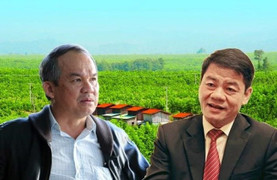 THACO mua 5 triệu cổ phiếu HAGL Agrico