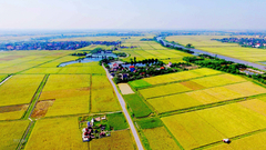 Đề xuất miễn thuế sử dụng đất nông nghiệp đến hết năm 2030