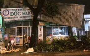 Mưa lớn kèm gió giật, hàng loạt cây xanh bị quật ngã đè sập nhà dân ở TP.HCM