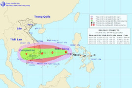 Bão tấn công Nam Trung Bộ, TP.HCM chỉ đạo khẩn