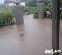 Thời tiết ngày 26/11: Gió mạnh trên biển, miền Trung mưa rất to