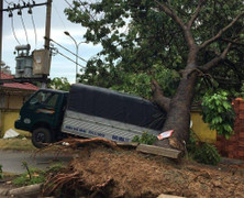 Cây xanh bật gốc, đè gãy trụ điện và sập nhà dân trong mưa dông ở TP.HCM