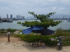 Xác định danh tính thi thể cô gái trôi trên sông Hàn ở Đà Nẵng