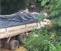 Xe chở trái cây lao xuống suối, 2 người chết ở Bình Phước