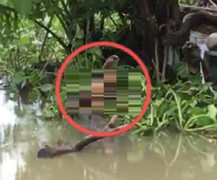 Thi thể người đàn ông đang phân hủy trên sông Sài Gòn