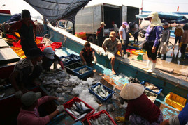 Xuất khẩu thủy sản năm 2018 có thể đạt 8,8 tỷ USD