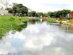 TP.HCM tìm nhà đầu tư cho dự án cải tạo kênh Tham Lương - Bến Cát