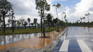 Khu đất công ‘không lối đi’ ở Bình Dương: Cần giải quyết dứt điểm những vướng mắc