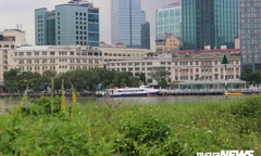 TP.HCM xin lùi thời gian trình đề án sáp nhập 10 phường