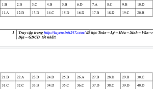 Đáp án mã đề 204 môn Vật lý THPT Quốc gia 2019