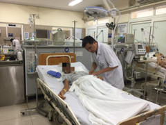 Bị 70 con ong lao vào đốt khắp người, người đàn ông rối loạn hồng cầu, suy tạng suýt chết