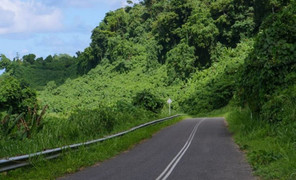 Tài xế xe tải suýt chết do đặt niềm tin vào Google Maps