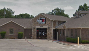 Nữ chủ nhân bị hai con chó Pitbull cắn chết thương tâm