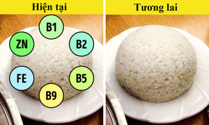 Biến đổi khí hậu sẽ khiến những loại thực phẩm sau có nguy cơ bị biến mất