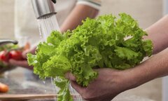 Nhiều người thường xuyên rửa rau sống theo cách sai lầm này