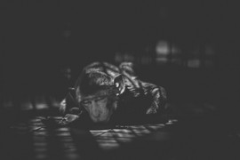 Cuộc sống cô độc của động vật trong sở thú ở Bangladesh