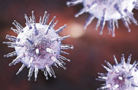 Những bệnh bắt nguồn từ 'nụ hôn'