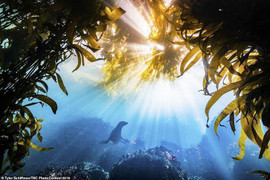 Những bức ảnh tuyệt đẹp về thiên nhiên khắp nơi trên thế giới