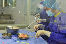 Ảnh: Ngân hàng đầu tiên lưu trữ hàng nghìn mô từ cơ thể người ở Việt Nam