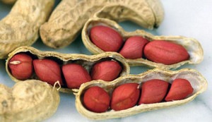 Đậu phộng được gọi là 'thần dược' nhưng 3 kiểu người này cần tránh nếu không muốn rước họa