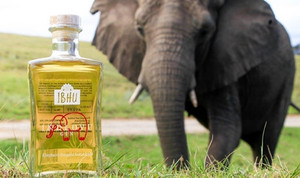 Rượu làm từ phân voi châu Phi