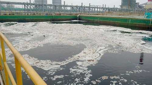 Quốc hội sẽ giám sát dự án Formosa