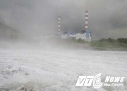 Nhà máy Nhiệt điện Quảng Ninh xả nước nóng chết cá xuống sông: Thông tin mới nhất