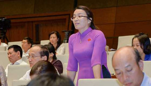 ĐBQH: 'Có trường hợp dùng súng để chi phối kết quả bán đấu giá'