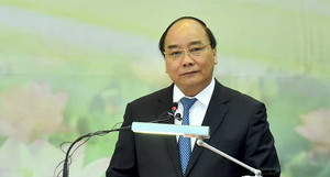Thủ tướng: 'Không để trí tuệ, khoa học Việt Nam thua kém trên sân nhà'