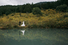 Ảnh kỷ niệm cưới lãng mạn giữa rừng hoa dã quỳ của cặp đôi DJ nổi tiếng Hà thành