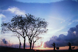 Cảm thức chiều cuối năm