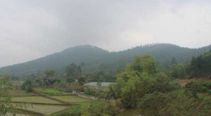 Vĩnh Phúc dừng xây dựng 'siêu' nghĩa trang trên đất rừng Tam Đảo