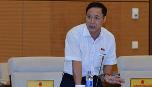 Đại biểu Quốc hội: 'Quân hùng tướng mạnh đi thanh tra có hiệu quả bằng một bài báo không?'