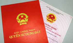 Sổ đỏ ghi đầy đủ các thành viên trong gia đình: Lãnh đạo Bộ TN-MT lý giải