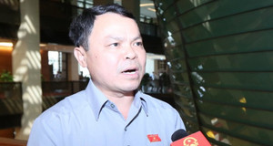 Sập mỏ vàng ở Hòa Bình, 2 người mắc kẹt, ĐBQH: 'Vụ việc điển hình thách thức cơ quan chức năng'