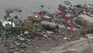 Phát hiện quả bom dài 60cm nằm lộ thiên dưới bờ sông ở Hải Phòng