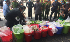 Hành trình phá vụ án vận chuyển 500 kg ma tuý do người Trung Quốc cầm đầu ở TP.HCM