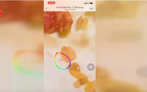 Bữa trưa của học sinh trường quốc tế ở TP.HCM có giòi