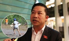 'Hôi vịt' trên xe tải bị lật ở Quảng Bình: 'Hành vi phi đạo đức, không thể chấp nhận được'