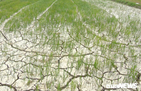 Nắng nóng gay gắt ở Trung Bộ kéo dài đến khi nào?