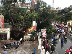 Bão số 4 sắp đổ bộ, Hà Nội mưa to gió giật khủng khiếp, cây đa cổ thụ bật gốc đè bẹp cửa hàng