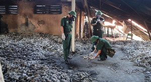 Tổng cục Môi trường: Dân sống trong bán kính 500m gần Công ty Rạng Đông cần đi khám sức khoẻ