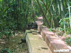 Video: Bạt ngàn gỗ quý trăm tuổi ở Đắk Lắk bị tàn phá không thương tiếc