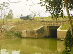 Kỳ án: Khai quật tử thi, truy tìm kẻ giết người trong đêm siêu bão