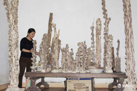 Đại gia vung tiền mua dó trầm giá trăm triệu đồng ở Hà Tĩnh