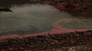 Lại xuất hiện dải nước màu đỏ bất thường ở biển Hà Tĩnh